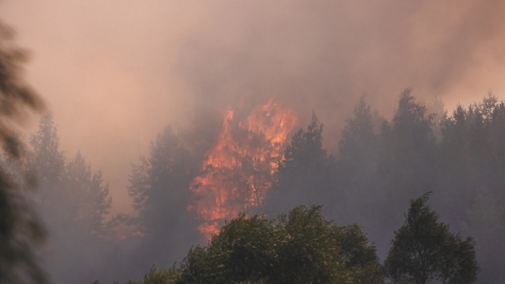 Башкирию накрыл дым от лесных пожаров в Югре. Рассказываем, что там происходит