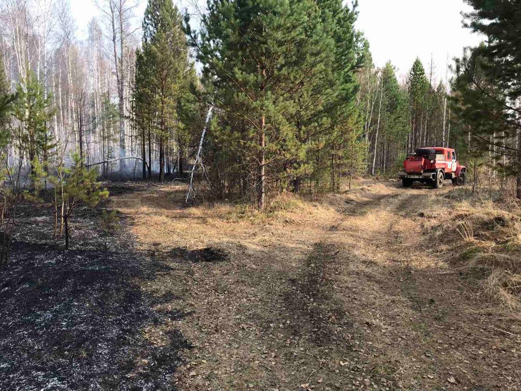 Пожарных из ХМАО и Хабаровского края привлекают для борьбы с лесными пожарами в Приангарье