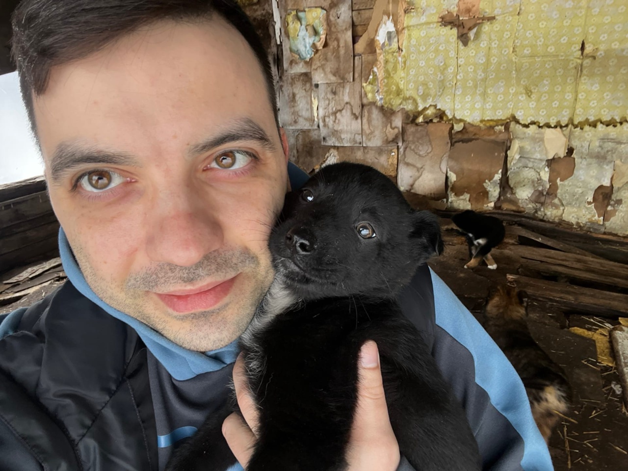 Волонтер фонда помощи бездомным животным «Собакафан» в Югре