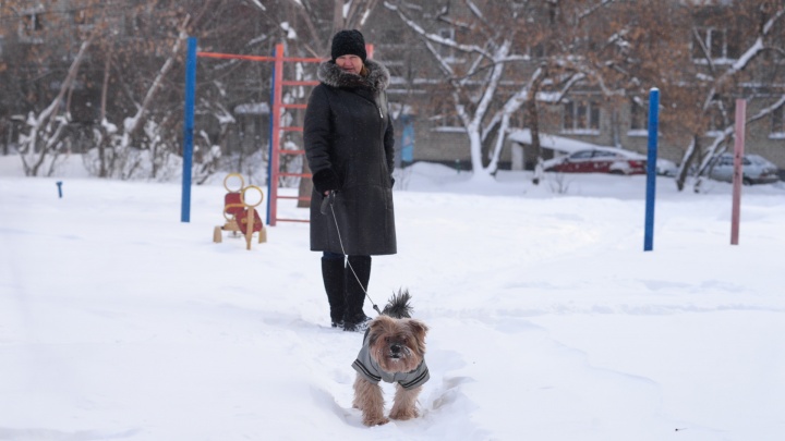 В Екатеринбурге уже выпала месячная норма снега. Что будет с погодой дальше?
