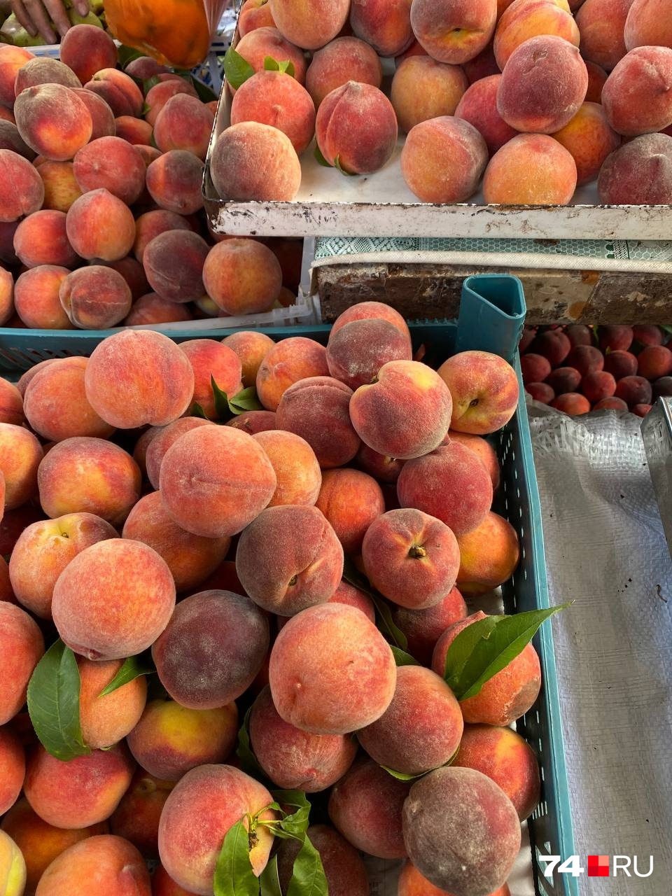 Не упустите шанс купить на рынке местных фруктов 