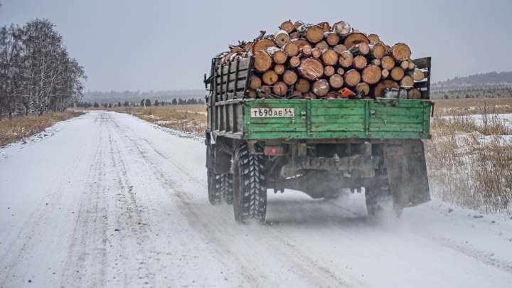 Правительство Забайкалья не решило проблему дров. Скачков и ОНФ написали обращение Осипову