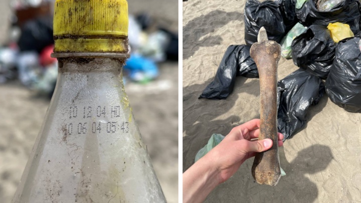18-летнюю бутылку и чью-то кость нашли при уборке новосибирского пляжа