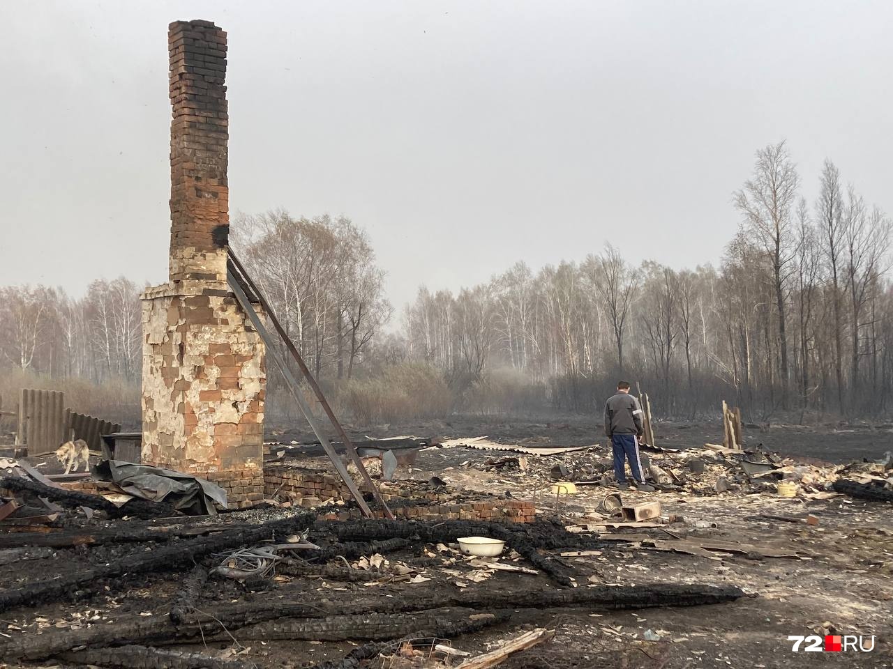 От сгоревшего дома, где жила семья с детьми, осталась только печь От сгоревшего дома, где жила семья с детьми, осталась только печь