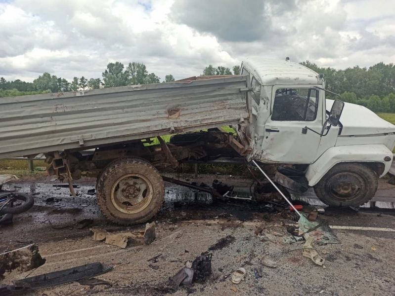 Водитель грузовика ГАЗ выжил
