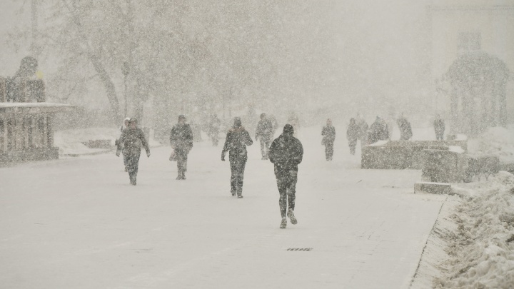 Свердловскую область засыплет снегом. Объявлено экстренное предупреждение