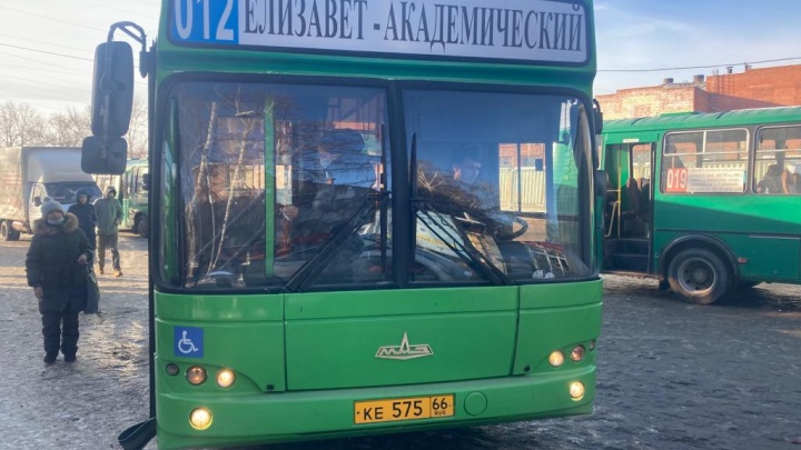 На популярном маршруте из Академического в центр появились новые большие автобусы