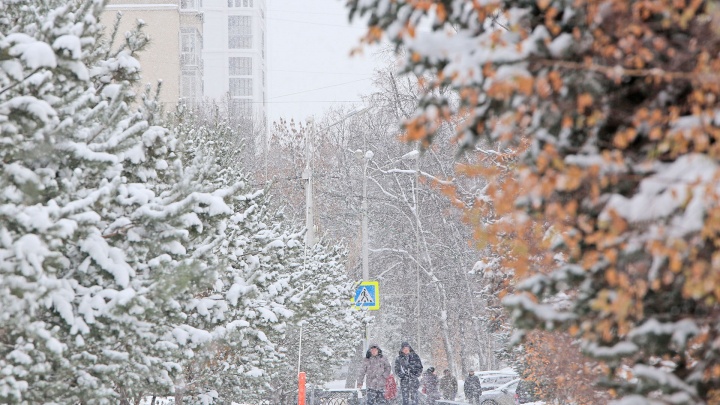 Башкирию завалит снегом: синоптики рассказали, какая погода будет в ближайшие два дня
