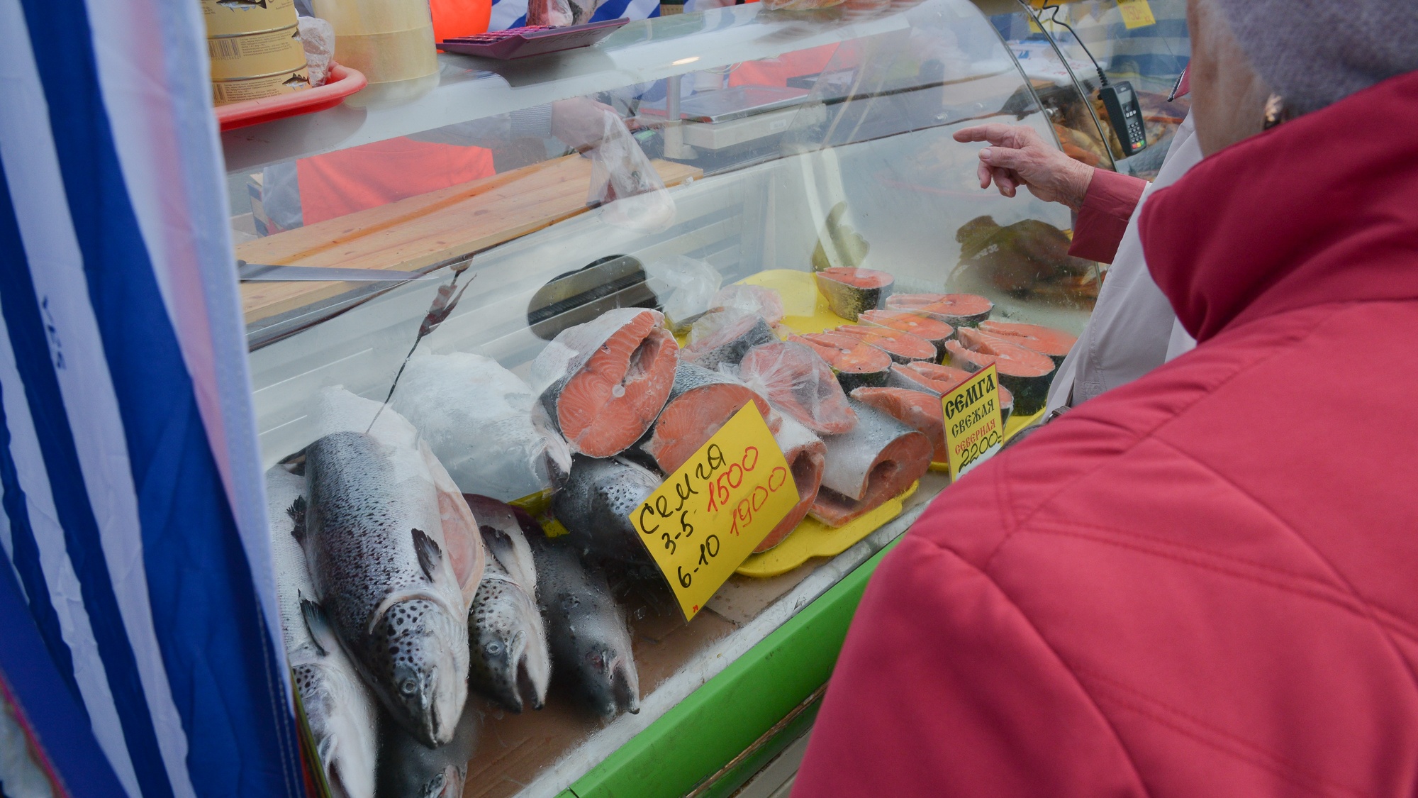 Рыба на Маргаритинской ярмарке: как правильно выбрать свежую и вкусную и не переплатить