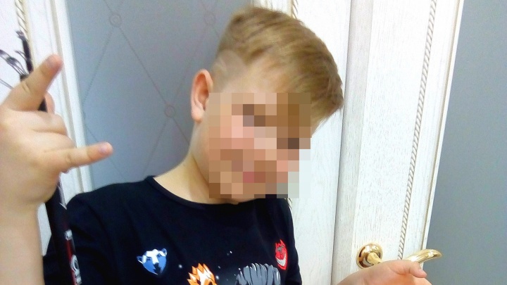 Следком начал проверку после нападения собаки на мальчика из Котласского района