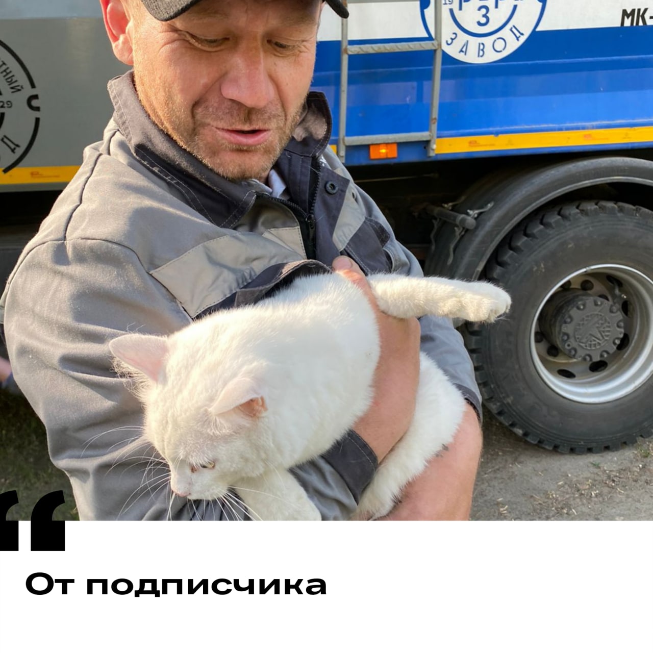 Житель Ангарска спас кота, застрявшего на дереве