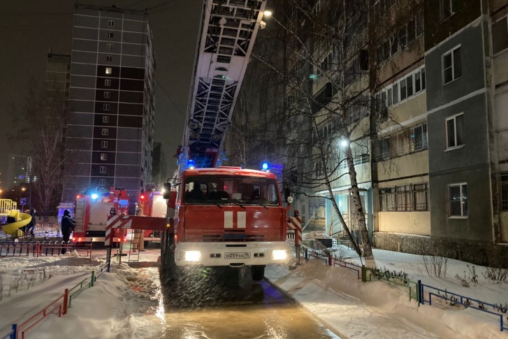 Следователи организовали проверку по факту гибели женщины при пожаре на Юго-Западе Следователи организовали проверку по факту гибели женщины при пожаре на Юго-Западе