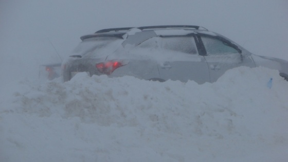 Пересадили фельдшера: волгоградцы на легковых авто спасли десятки автомобилистов из снежного плена