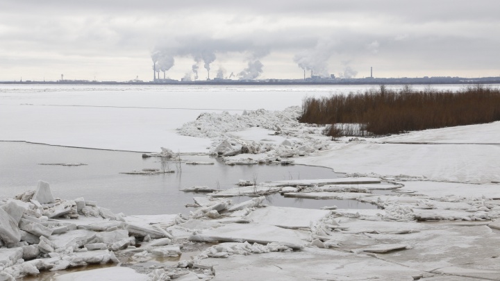 В Новодвинске хотят запустить производство химикатов для отбеливания целлюлозы