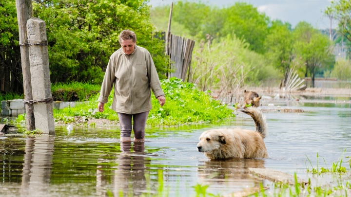 На Вишере — высокое половодье, а набережную в Перми не затопит: синоптики рассказали о прогнозах по паводку в Прикамье