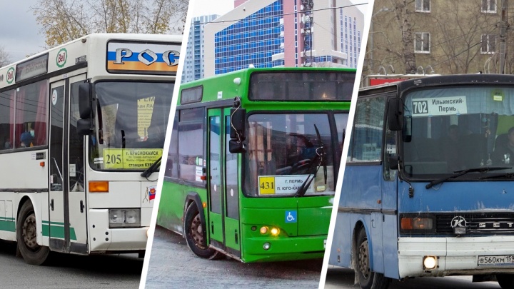 Большой разбор: почему перевозчики отказываются обслуживать автобусные маршруты в Прикамье