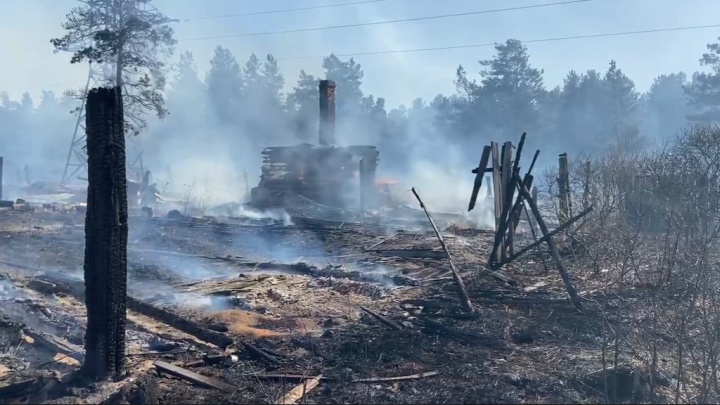 Выжженная земля. Крупный пожар локализовали в садоводстве «Солнечный» Усольского района