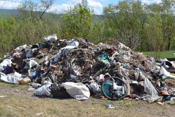 Неизвестные складировали бытовой мусор прямо на берегу Ингоды