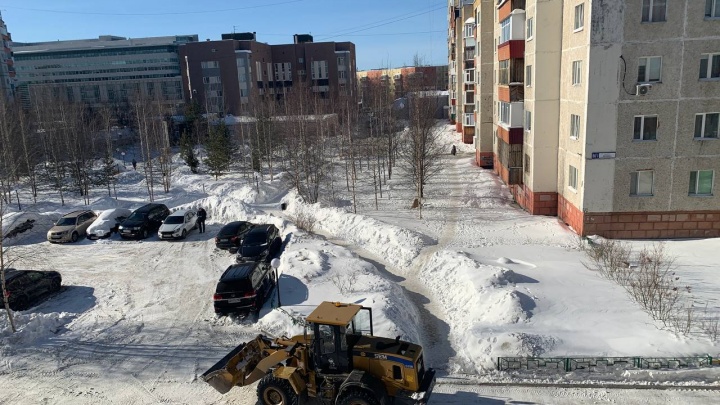 В Сургуте убранный с тротуаров снег складировали у жилых домов