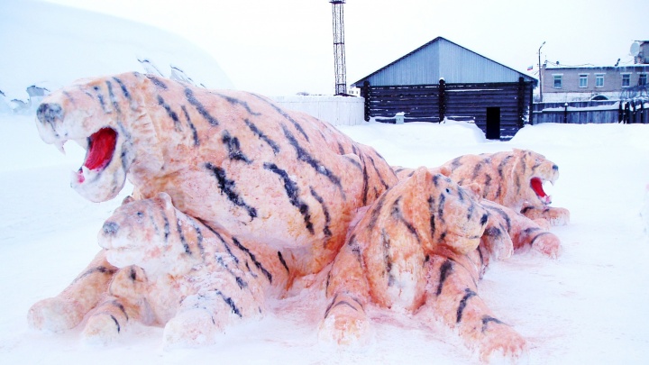 Тигры и швейная машинка: осужденные области лепят огромные снежные фигуры