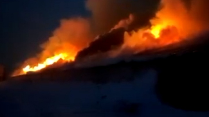 На птицефабрике «Комсомольская» в Прикамье произошел пожар. Погибло почти 34 тысячи птиц