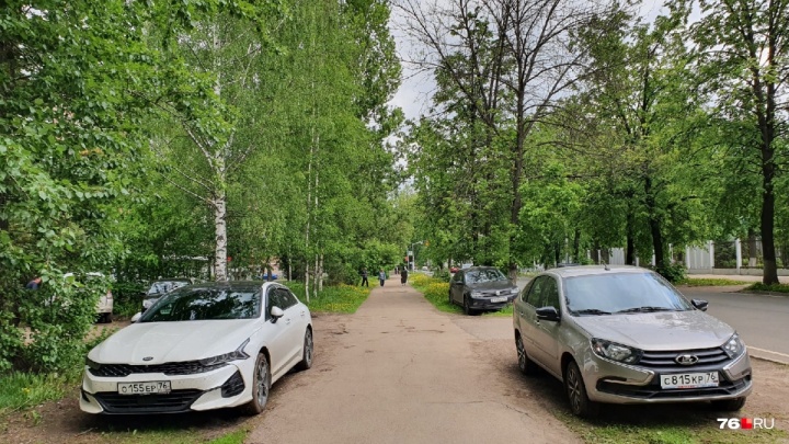 «Утонем в мусоре и грязи»: ярославцы поспорили об отмене наказания за парковку на газонах