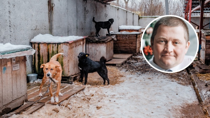 В Перми муниципальный приют и Службу по обращению с животными без владельцев возглавил бывший офицер МВД