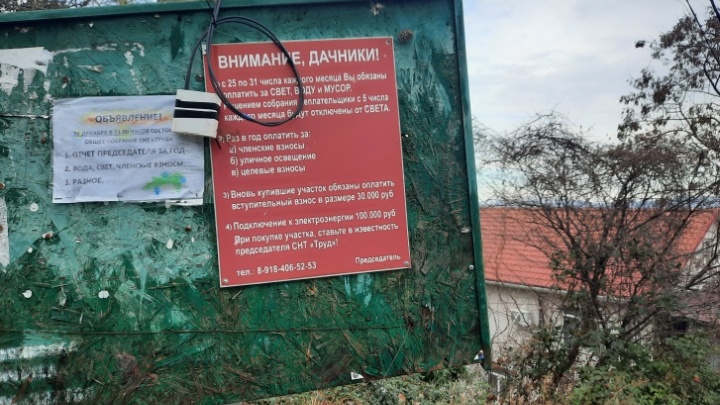Шестерых жителей Сочи обвинили в мошенничестве с земельными участками на 20 млн рублей