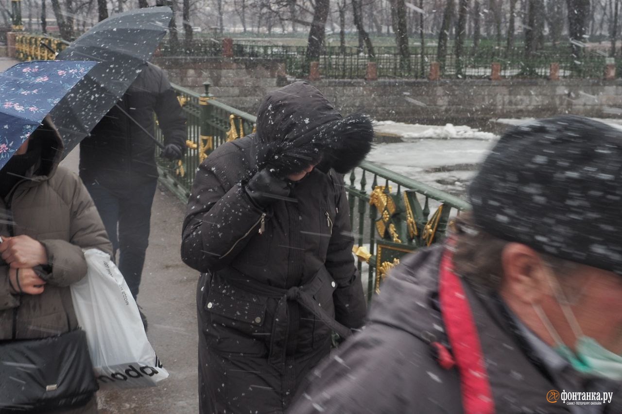 ветер в санкт петербурге