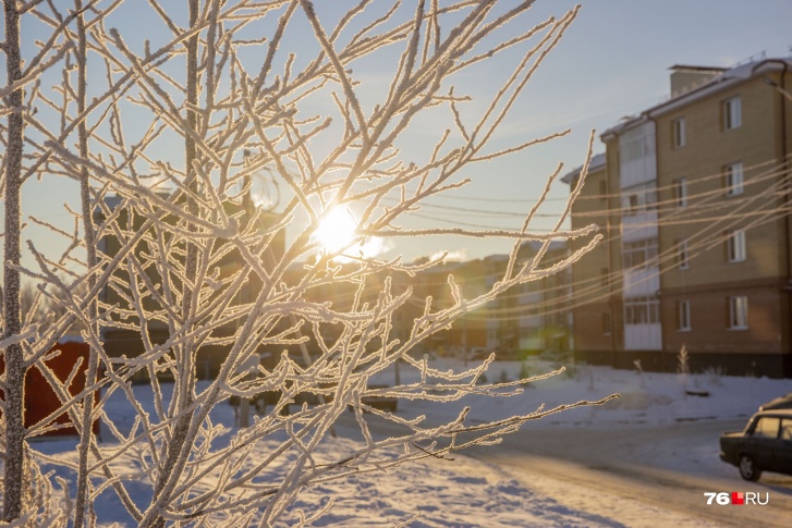 Морозная и солнечная погода продержится в Ярославле всего пару дней
