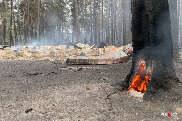 Бушевавшие в Зауралье пожары уничтожили множество лесов и жилых домов