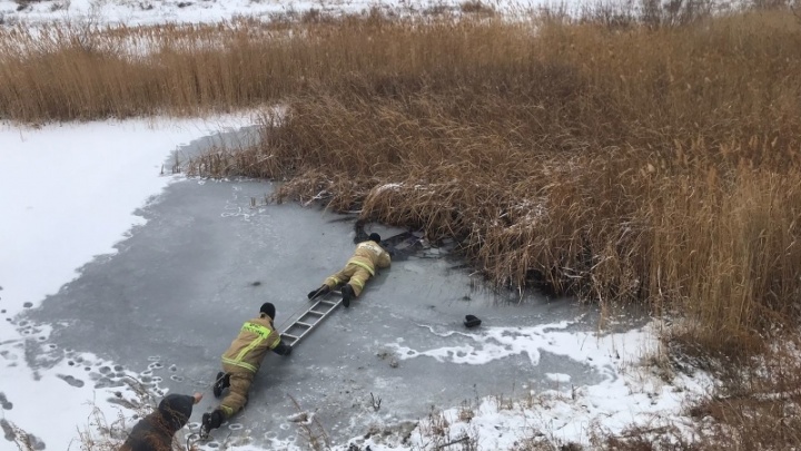 Двое детей провалились под лед и утонули в Челябинской области