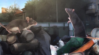 «С 14 этажа видно, как бегут крысы». Новосибирцев атаковали стаи грызунов — на их полчища жалуются даже в новостройках