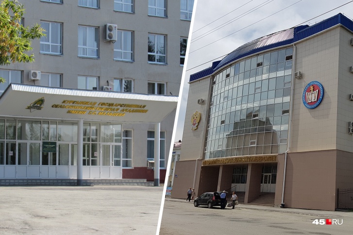 Конкретные решения по структуре опорного вуза примет правительство страны Конкретные решения по структуре опорного вуза примет правительство страны