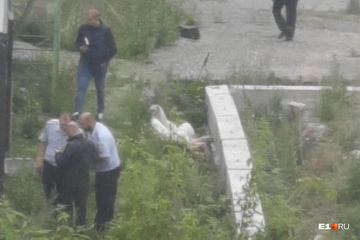 Лежал рядом с фундаментом: в Екатеринбурге на стройплощадке нашли труп охранника