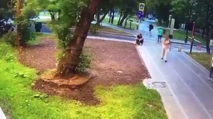 Появилось видео гибели человека, на которого упало дерево в Москве