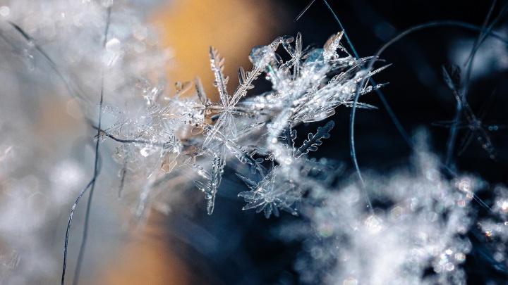 Макромир: 15 волшебных фото снежинок