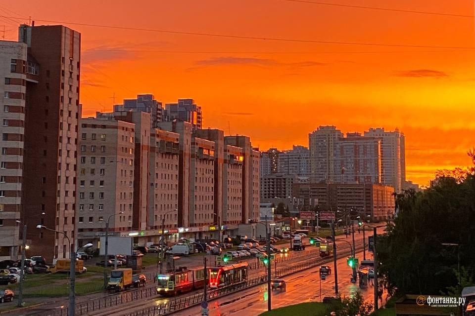 После бури небо в Петербурге взорвалось красным. Показываем головокружительный закат