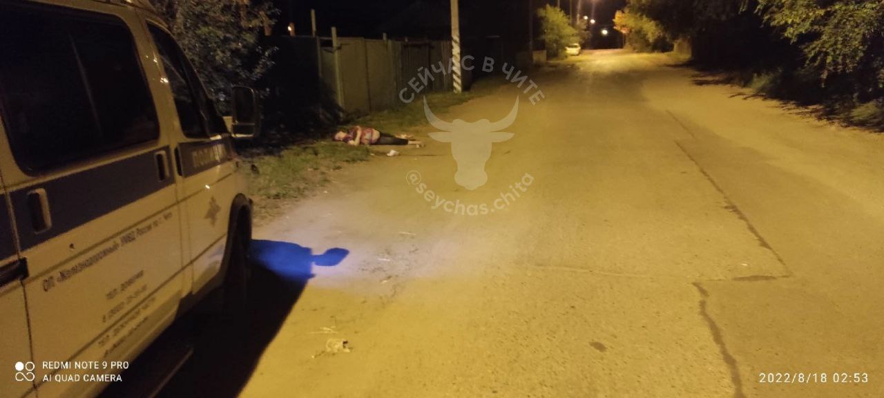 Тело женщины нашли на обочине дороги на улице Онискевича в Чите
