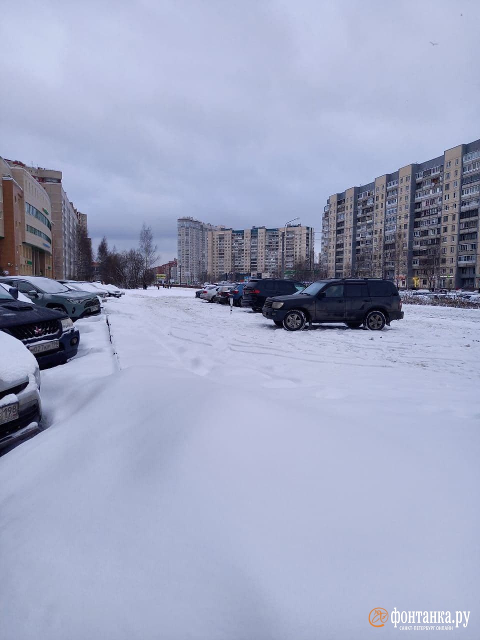 автор фото читатель «Фонтанки» Александр