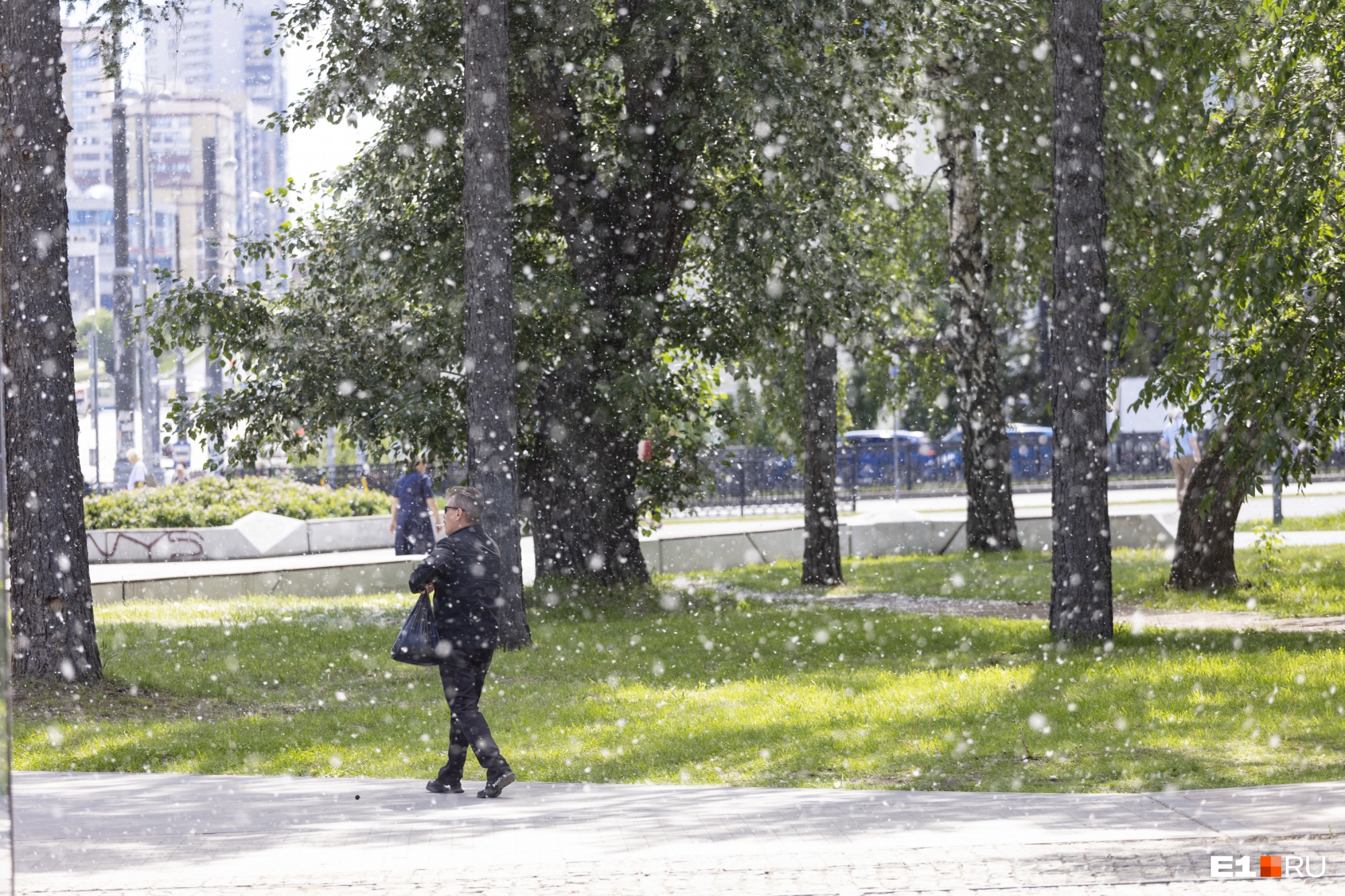 Летняя метель: Екатеринбург засыпало тополиным пухом. Фоторепортаж с побелевших улиц