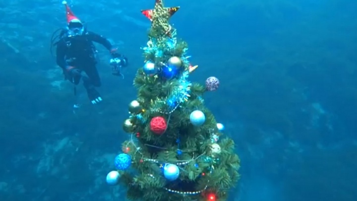 Казанские аквалангисты установили елку на дне Голубого озера: показываем крутые фотографии