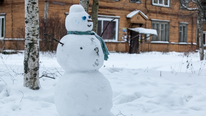 Готовимся к оттепели: какой будет зима в России
