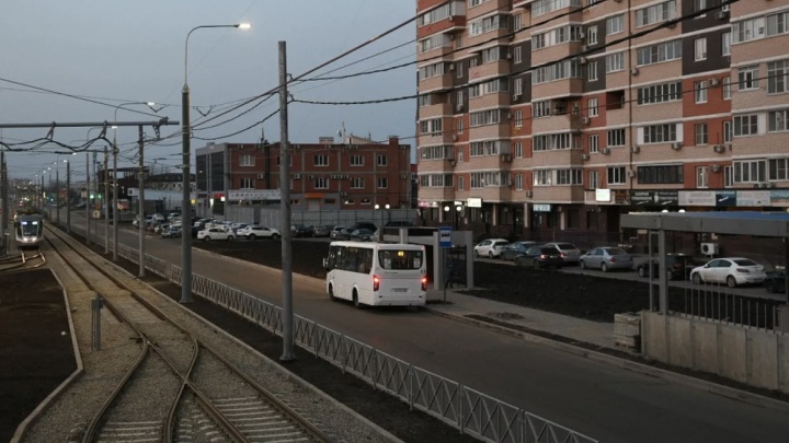 В Краснодаре высадят деревья и кустарники вдоль новой трамвайной ветки по улице Московской