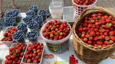 Малина за 3 тысячи рублей: сравниваем цены на ягоды в супермаркетах и на рынках Ярославля