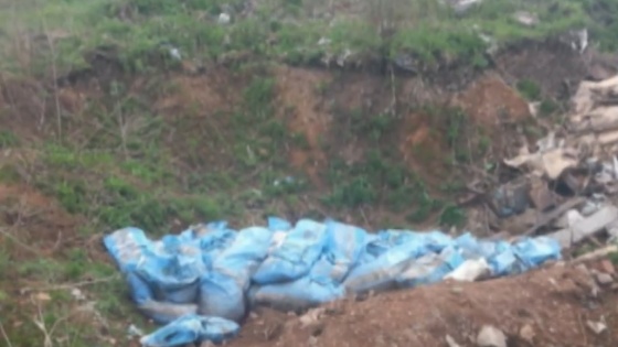 «Больше 30 мешков»: в Ярославской области нашли свалку с останками животных