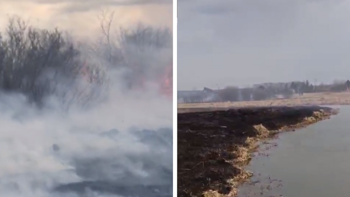 Свернули удочки, когда запахло жареным: в Невьянске рыбаки устроили сильный пожар