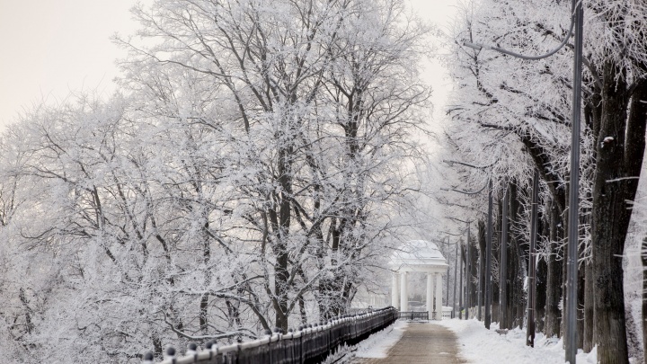 Циклон «Нео» принесет в Ярославль экстремальные морозы: синоптики назвали самый холодный день