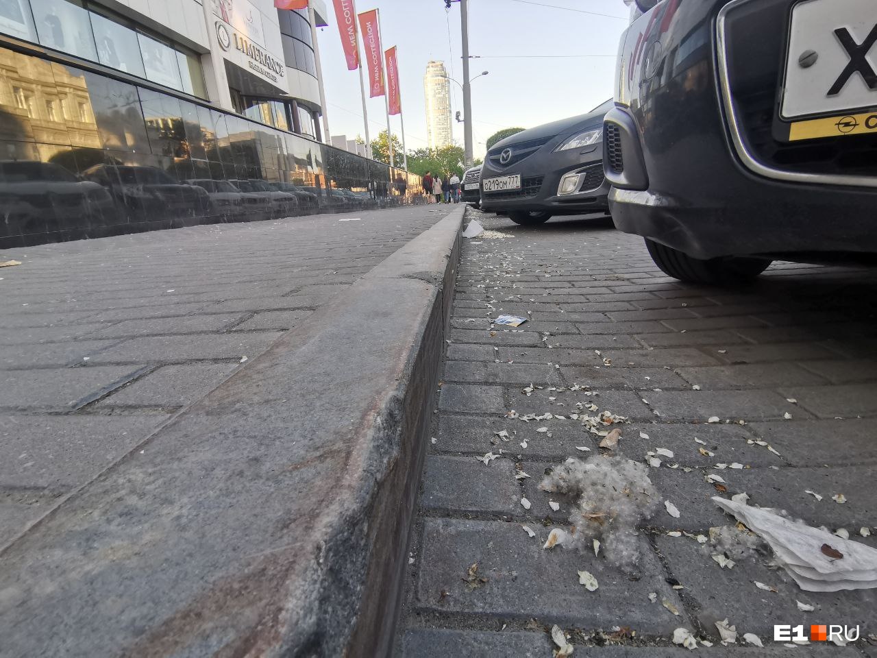 Пух сбивается клубами у бордюров Пух сбивается клубами у бордюров