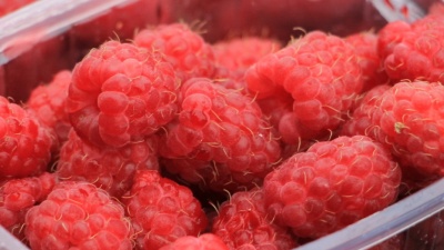 Малиновые заготовки: как сохранить ягоды до зимы, сделать полезный настой и вкусные десерты